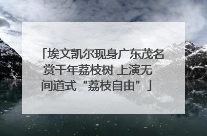 埃文凯尔现身广东茂名 赏千年荔枝树 上演无间道式“荔枝自由”