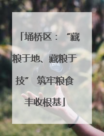 埇桥区：“藏粮于地、藏粮于技” 筑牢粮食丰收根基