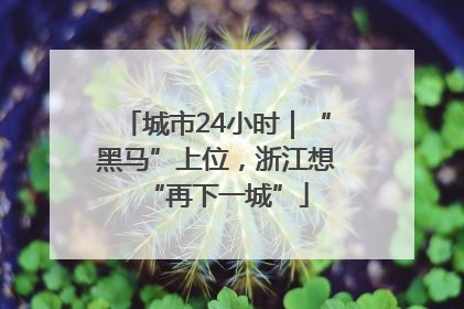 城市24小时｜“黑马”上位，浙江想“再下一城”