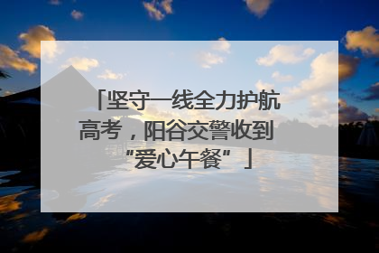 坚守一线全力护航高考，阳谷交警收到“爱心午餐”