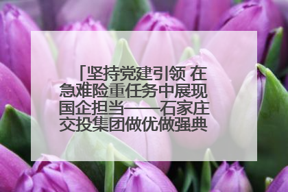 坚持党建引领 在急难险重任务中展现国企担当——石家庄交投集团做优做强典型报道之一