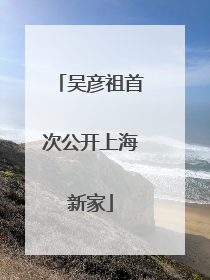 吴彦祖首次公开上海新家