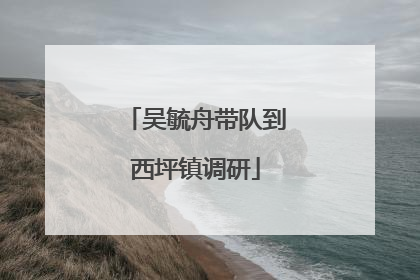 吴毓舟带队到西坪镇调研
