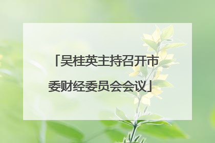 吴桂英主持召开市委财经委员会会议