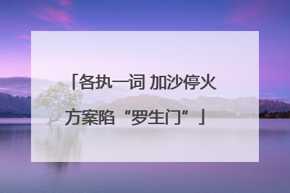各执一词 加沙停火方案陷“罗生门”