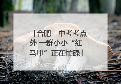 合肥一中考考点外 一群小小“红马甲”正在忙碌