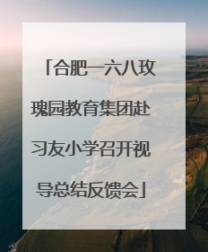合肥一六八玫瑰园教育集团赴习友小学召开视导总结反馈会