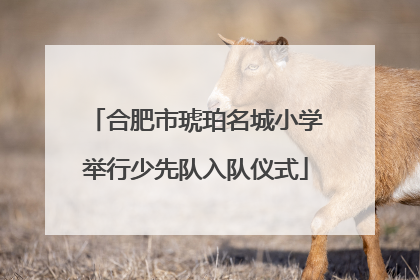合肥市琥珀名城小学举行少先队入队仪式