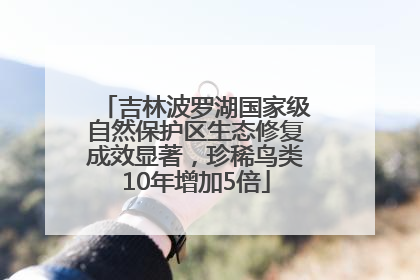吉林波罗湖国家级自然保护区生态修复成效显著，珍稀鸟类10年增加5倍