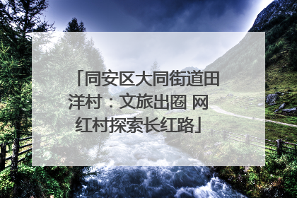 同安区大同街道田洋村：文旅出圈 网红村探索长红路