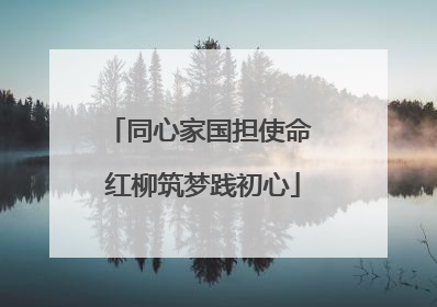 同心家国担使命 红柳筑梦践初心