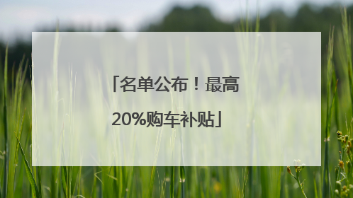 名单公布！最高20%购车补贴