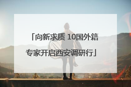 向新求质 10国外籍专家开启西安调研行
