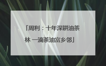 周利：十年深耕油茶林 一滴茶油富乡邻
