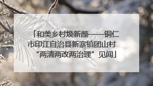 和美乡村焕新颜——铜仁市印江自治县新寨镇团山村“两清两改两治理”见闻