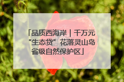 品质西海岸｜千万元“生态贷”花落灵山岛省级自然保护区