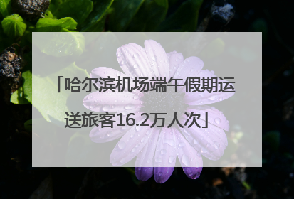 哈尔滨机场端午假期运送旅客16.2万人次