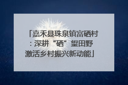 嘉禾县珠泉镇富硒村：深耕“硒”望田野 激活乡村振兴新动能