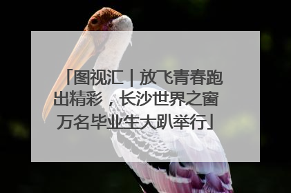 图视汇｜放飞青春跑出精彩，长沙世界之窗万名毕业生大趴举行