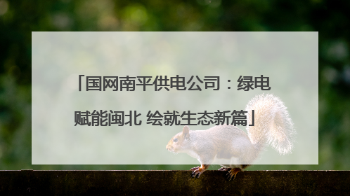 国网南平供电公司：绿电赋能闽北 绘就生态新篇