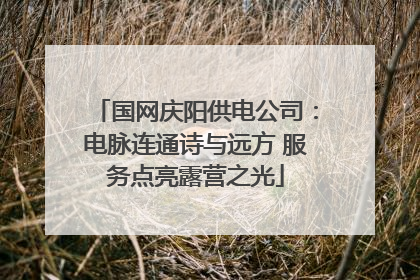 国网庆阳供电公司：电脉连通诗与远方 服务点亮露营之光