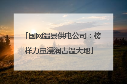 国网温县供电公司：榜样力量浸润古温大地
