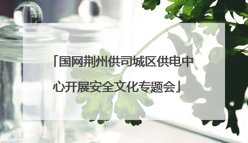 国网荆州供司城区供电中心开展安全文化专题会