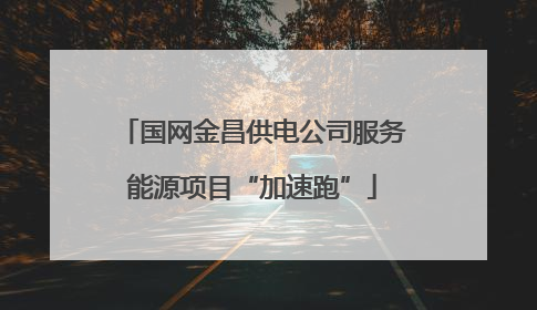 国网金昌供电公司服务能源项目“加速跑”