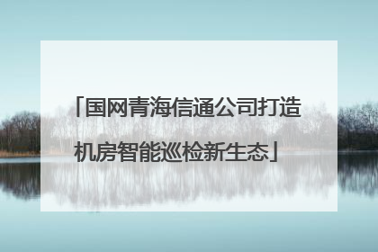 国网青海信通公司打造机房智能巡检新生态