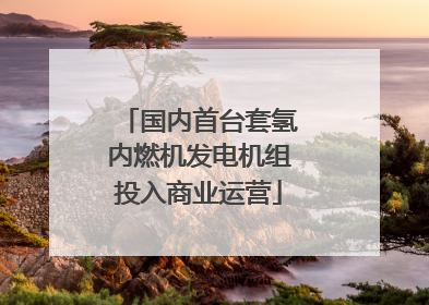 国内首台套氢内燃机发电机组投入商业运营