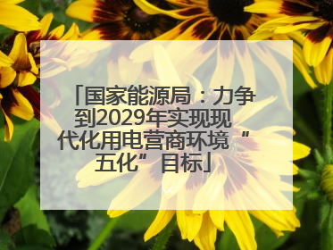 国家能源局：力争到2029年实现现代化用电营商环境“五化”目标