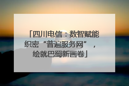 四川电信：数智赋能织密“普遍服务网”，绘就巴蜀新画卷
