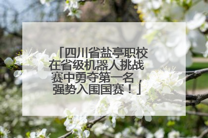 四川省盐亭职校在省级机器人挑战赛中勇夺第一名，强势入围国赛！