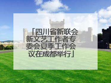 四川省新联会新文艺工作者专委会夏季工作会议在成都举行