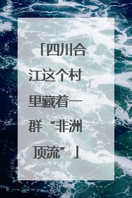 四川合江这个村里藏着一群“非洲顶流”