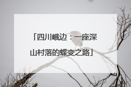 四川峨边：一座深山村落的蝶变之路