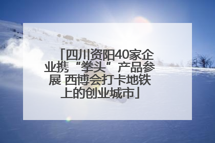 四川资阳40家企业携“拳头”产品参展 西博会打卡地铁上的创业城市