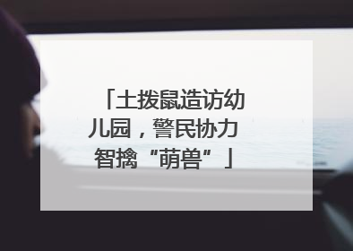 土拨鼠造访幼儿园，警民协力智擒“萌兽”