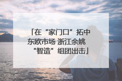 在“家门口”拓中东欧市场 浙江余姚“智造”组团出击