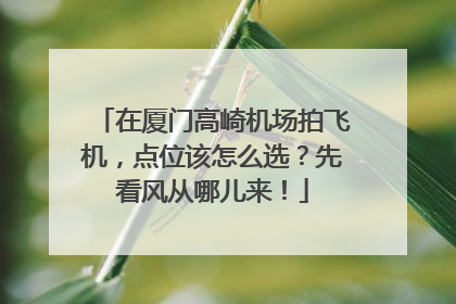 在厦门高崎机场拍飞机，点位该怎么选？先看风从哪儿来！