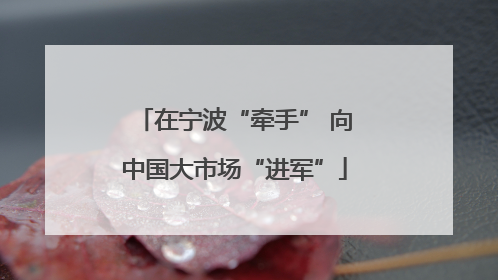 在宁波“牵手” 向中国大市场“进军”