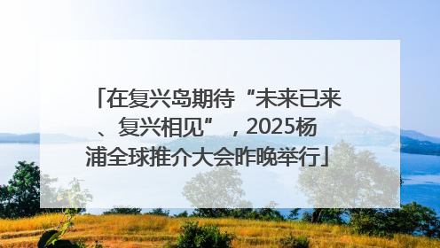 在复兴岛期待“未来已来、复兴相见”，2025杨浦全球推介大会昨晚举行