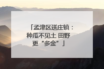 孟津区送庄镇：种瓜不见土 田野更“多金”