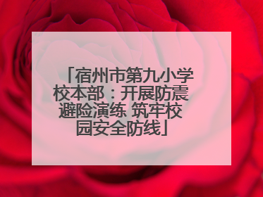 宿州市第九小学校本部：开展防震避险演练 筑牢校园安全防线