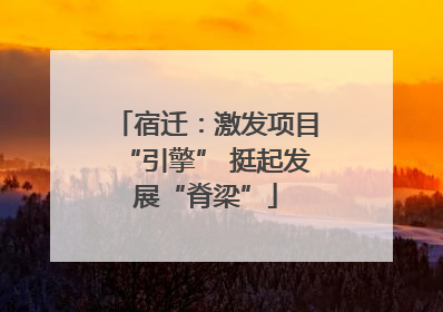 宿迁：激发项目“引擎” 挺起发展“脊梁”