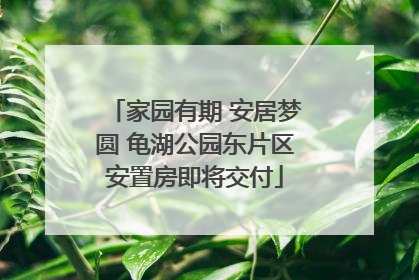 家园有期 安居梦圆 龟湖公园东片区安置房即将交付