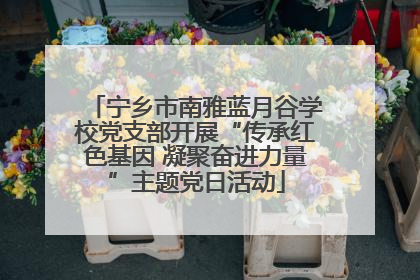 宁乡市南雅蓝月谷学校党支部开展“传承红色基因 凝聚奋进力量”主题党日活动