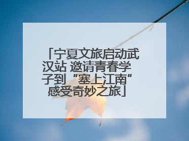 宁夏文旅启动武汉站 邀请青春学子到“塞上江南”感受奇妙之旅