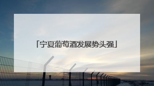 宁夏葡萄酒发展势头强
