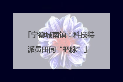 宁德城南镇：科技特派员田间“把脉”